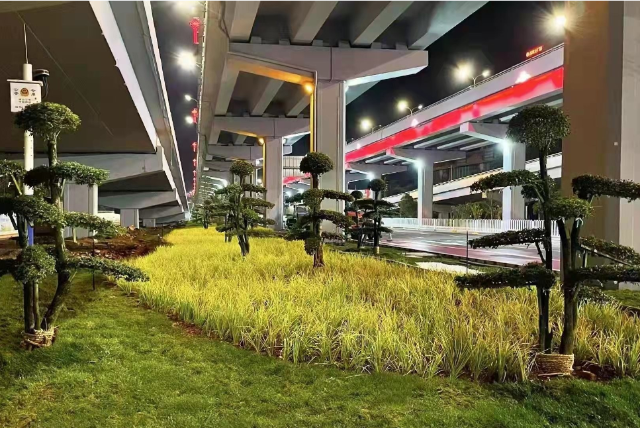 春城晚报(微信)