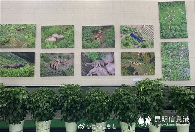 昆明信息港