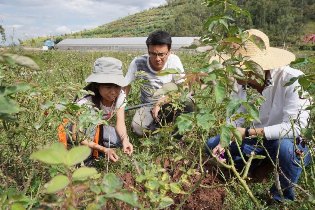 昆明发布(微信)