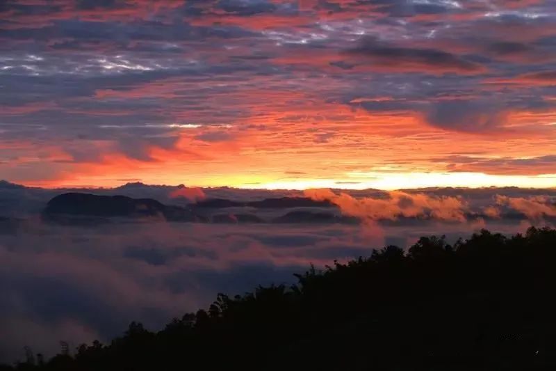 普洱日报(微信)