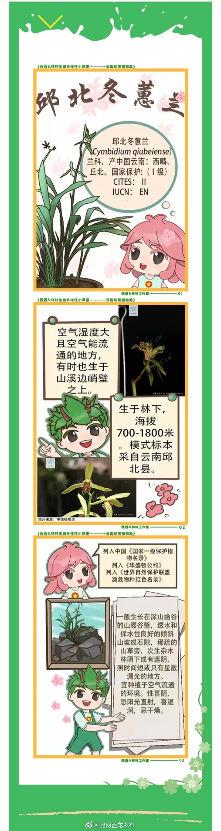 昆明盘龙发布