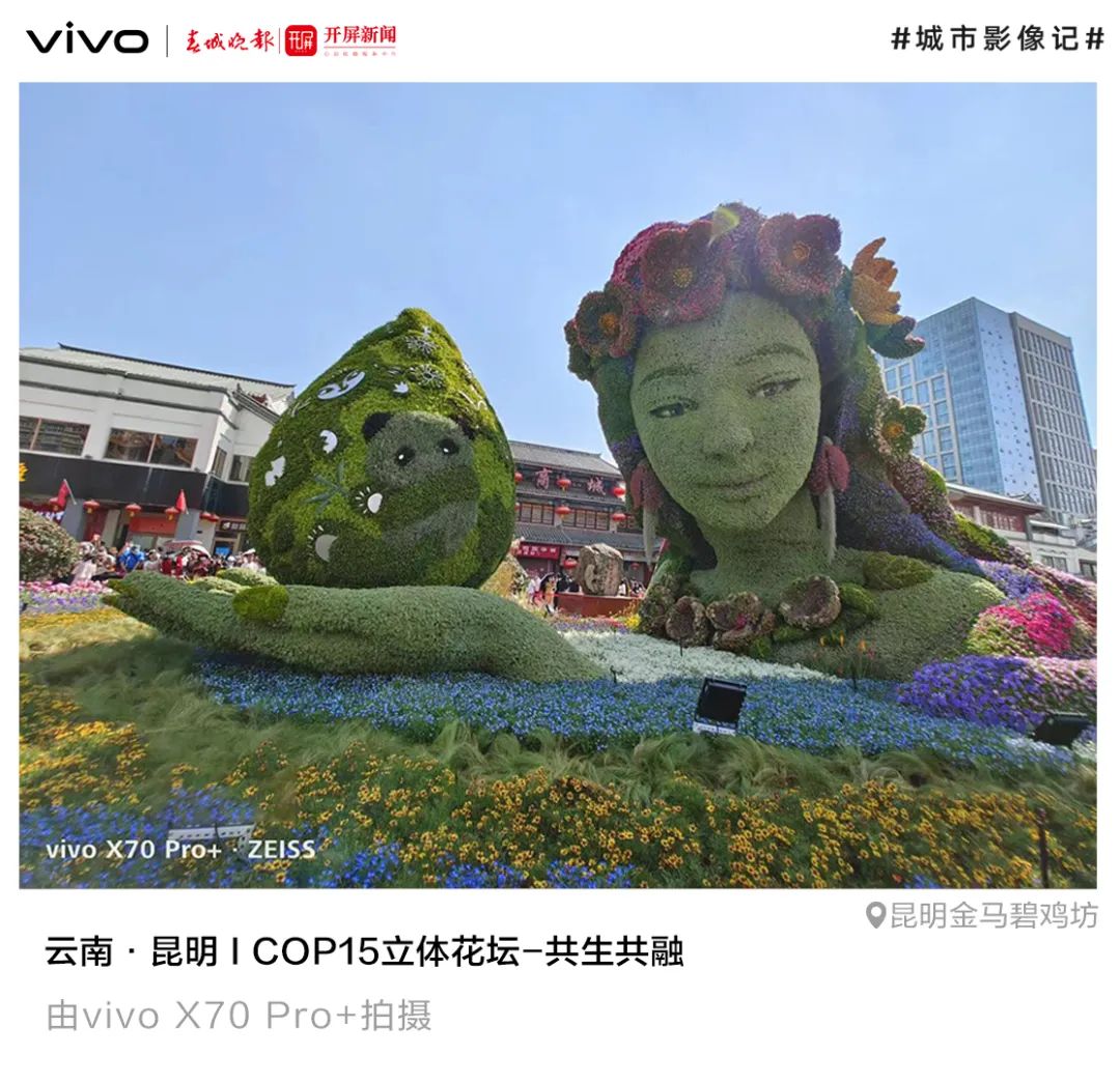 春城晚报(微信)