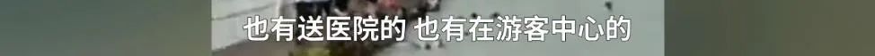 春城晚报(微信)