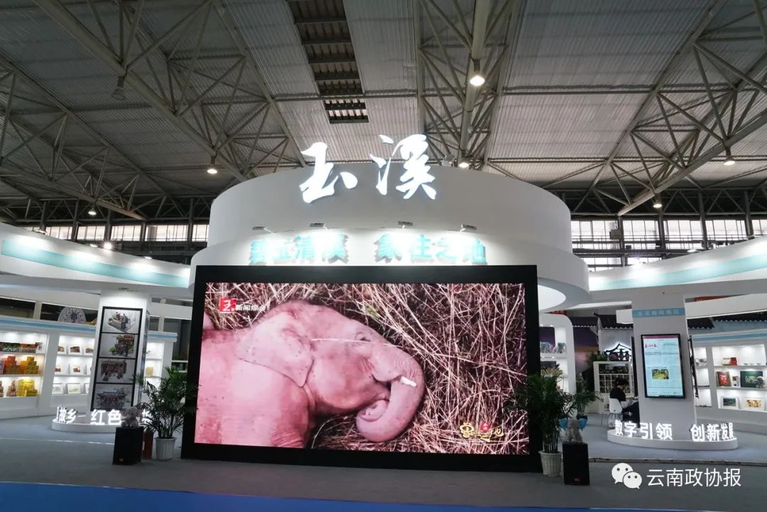 云南政协报(微信)