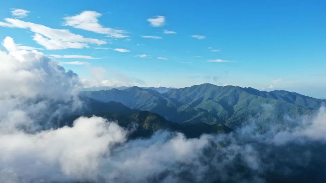 玉溪发布(微信)