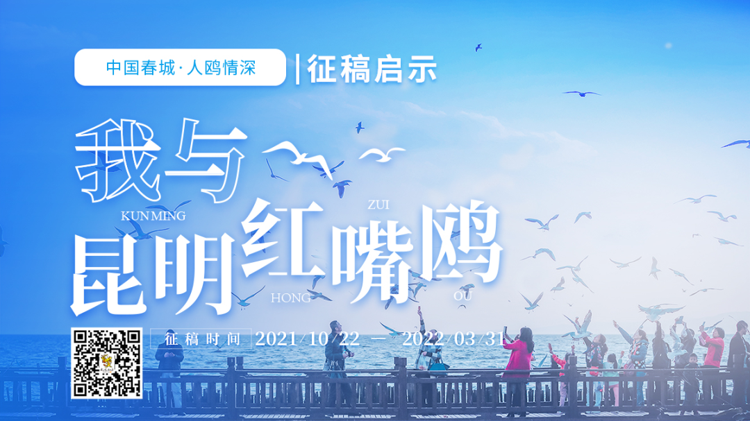 昆明信息港(微信)