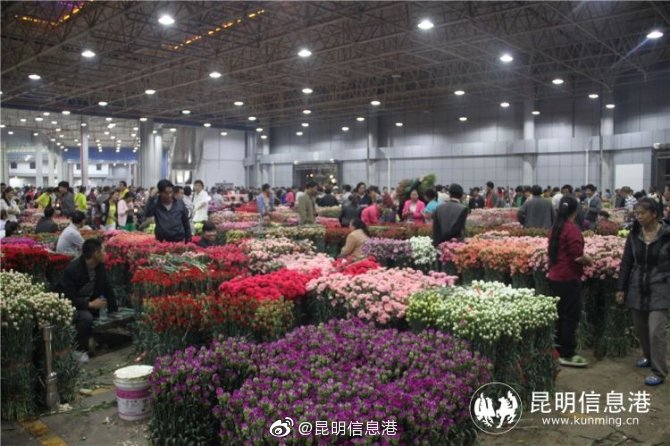 昆明信息港微博