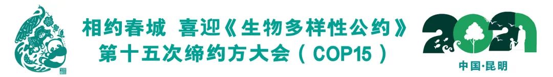 昆明剧院(微信)