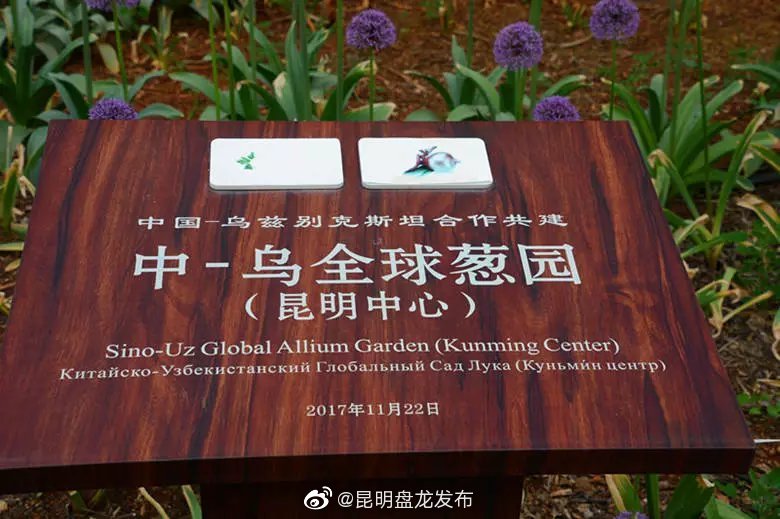 昆明盘龙发布