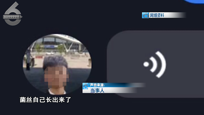 春城晚报(微信)