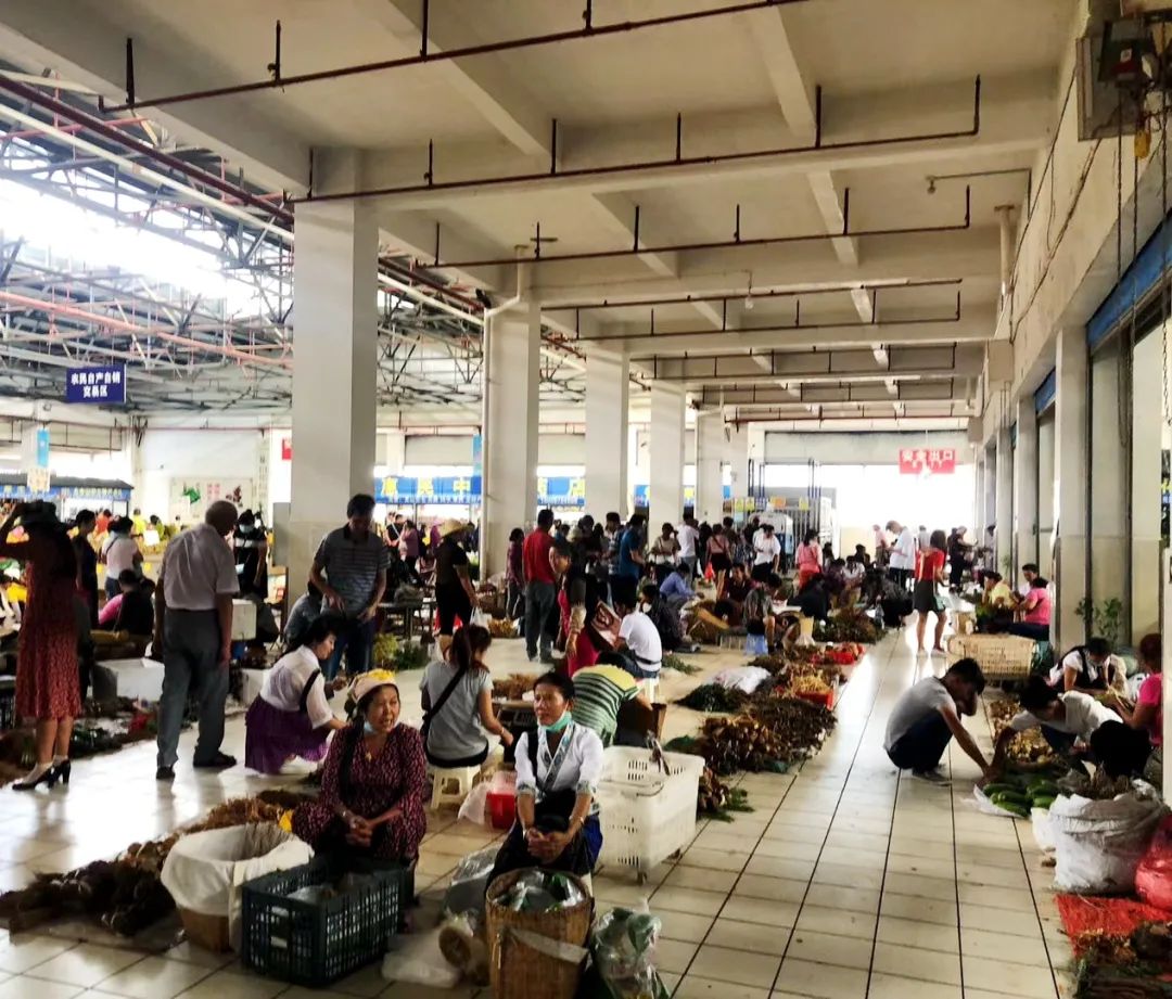 普洱日报(微信)