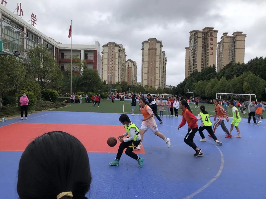 盘龙教育(微信)