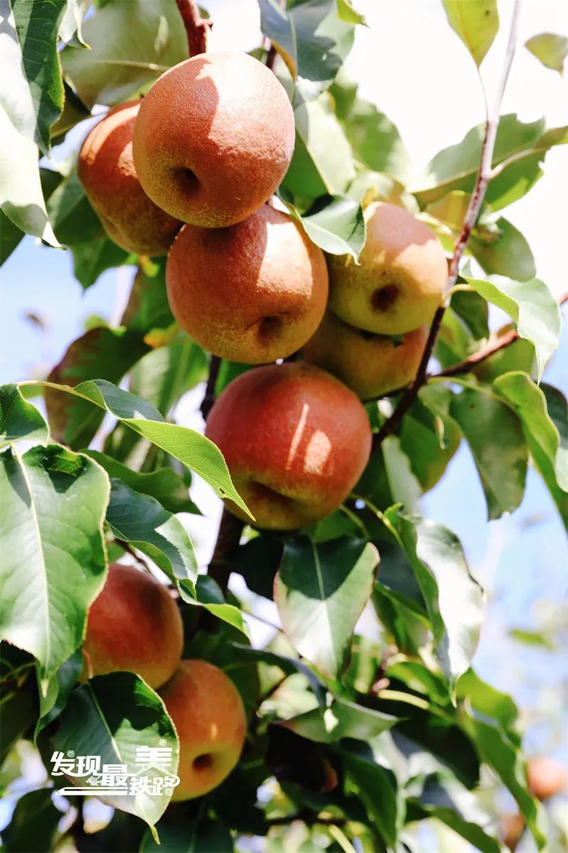 昆明铁路(微信)