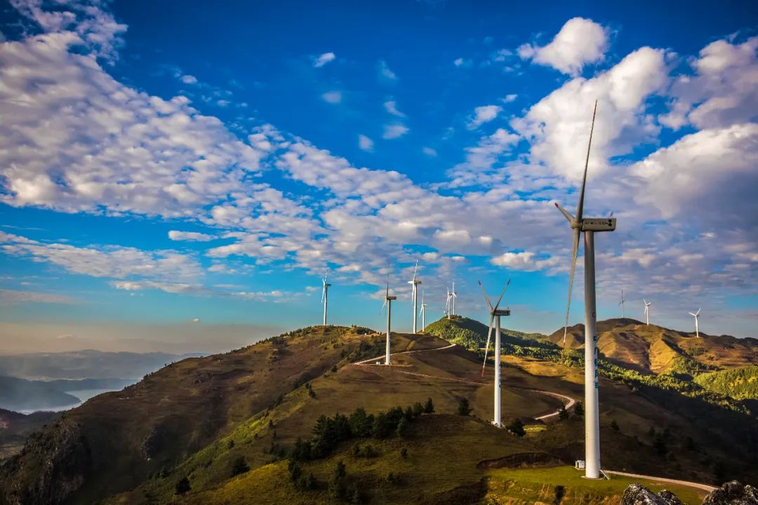 云南省人民政府网