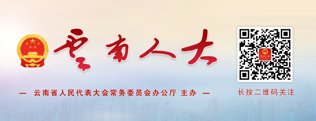 云南人大