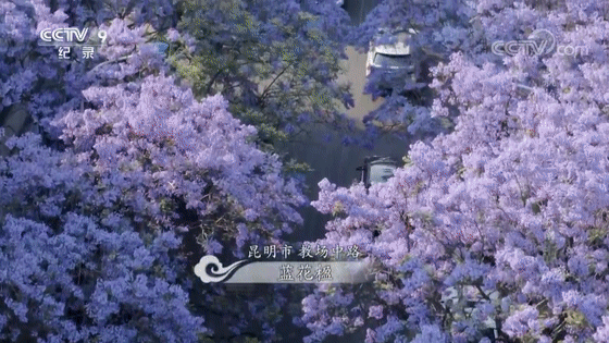云南政协报(微信)