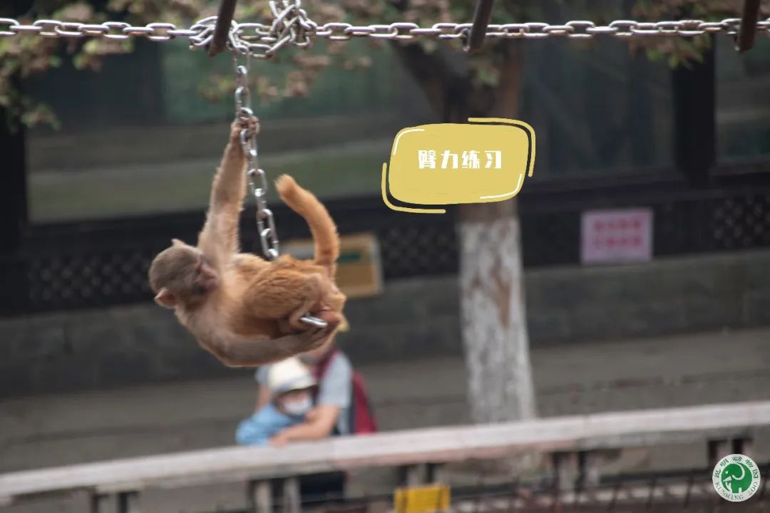昆明动物园