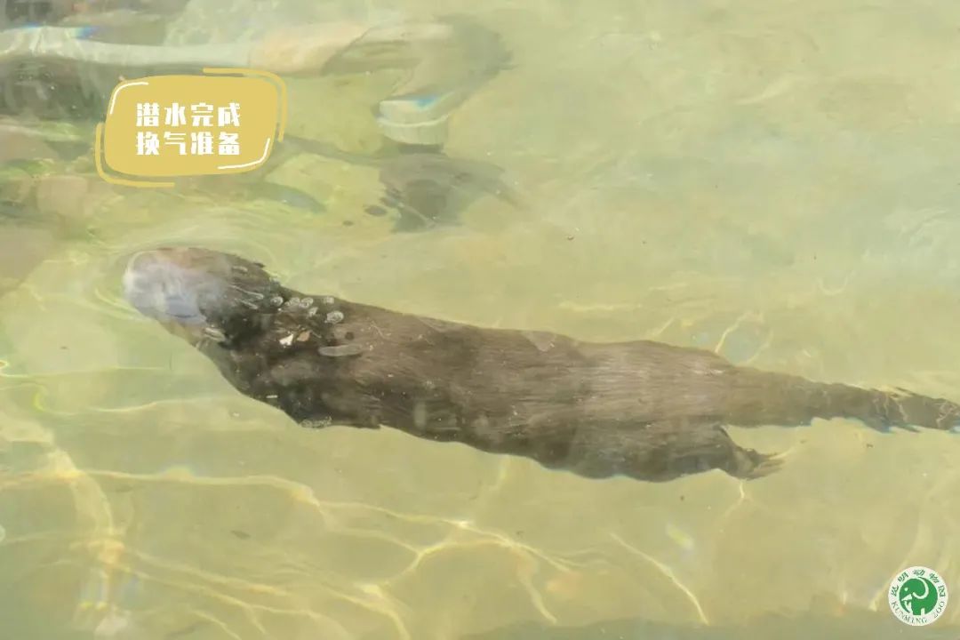 昆明动物园