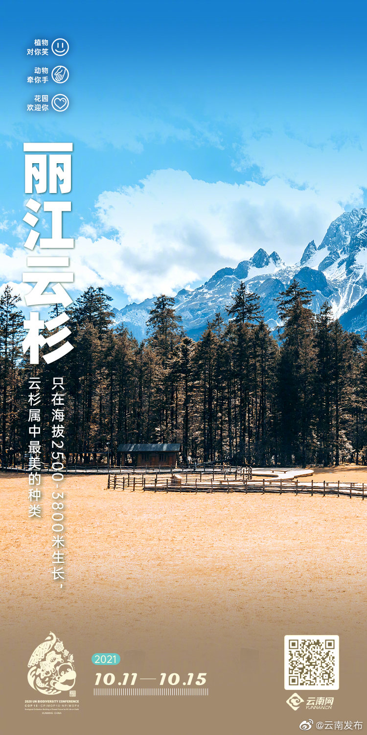 “云南发布”微博