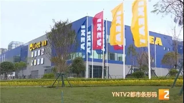 春城晚报(微信)