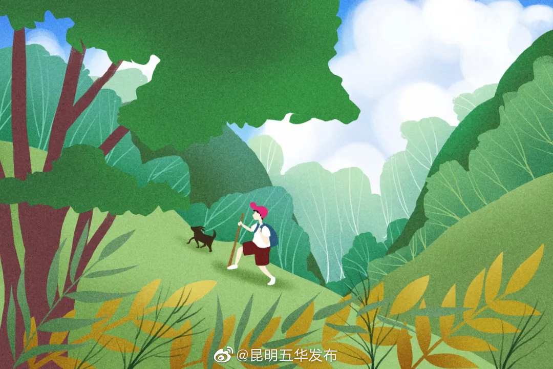 “昆明五华发布”微博