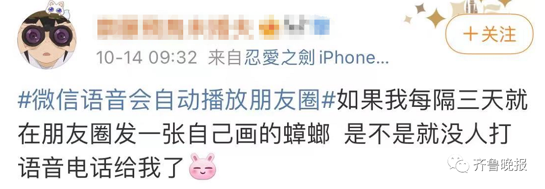 春城晚报(微信)