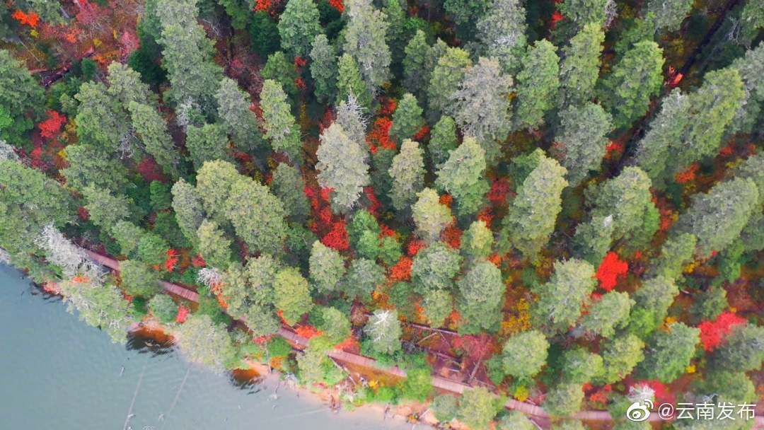 “云南发布”微博