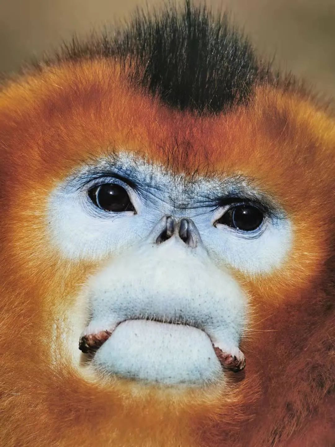 丽江日报(微信)