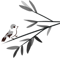 红河文旅(微信)