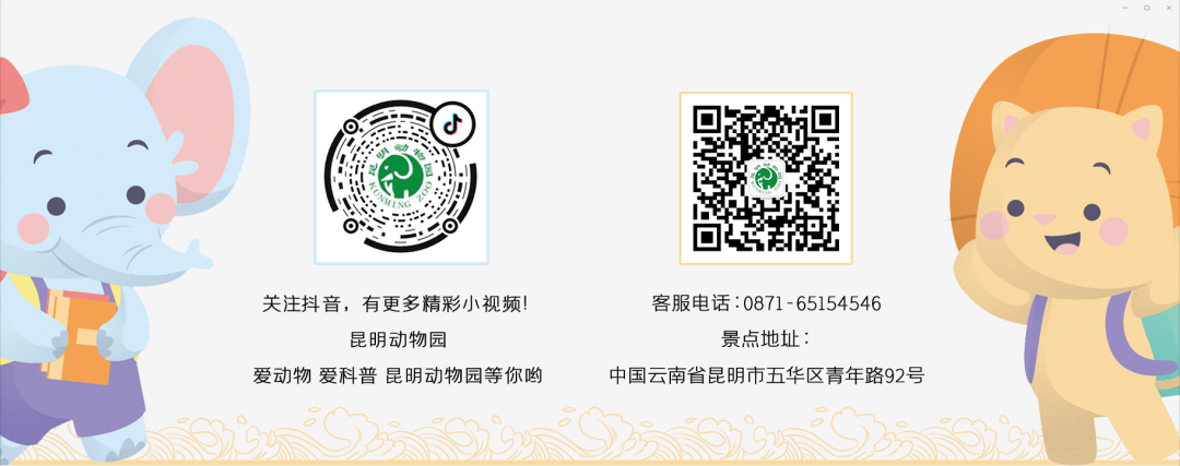 昆明动物园