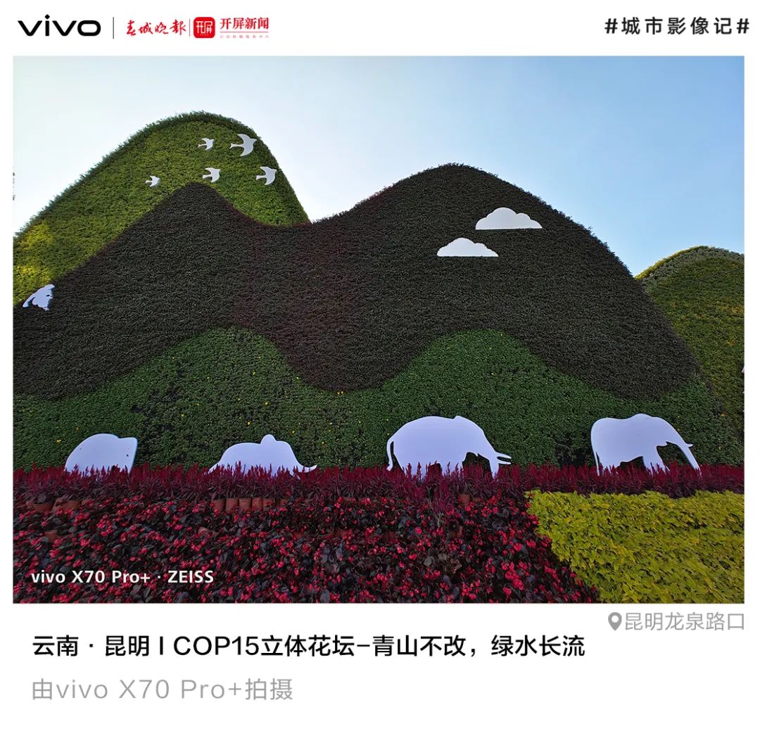 春城晚报(微信)