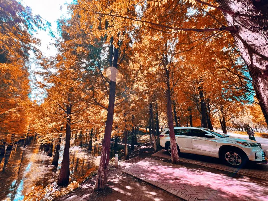 昆明滇池国家旅游度假区管理委员会(微信)