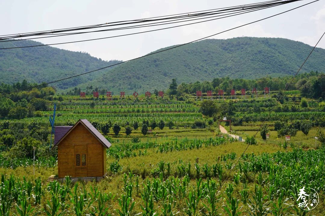 昆明发布(微信)