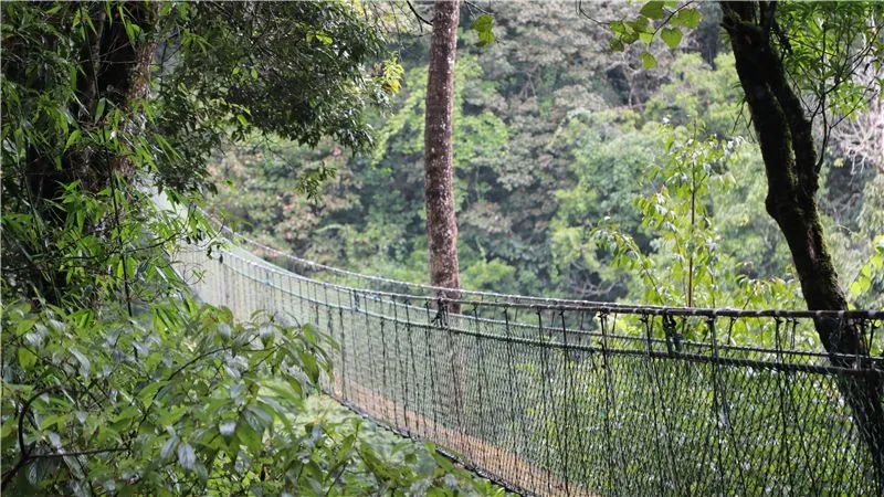 红河文旅(微信)