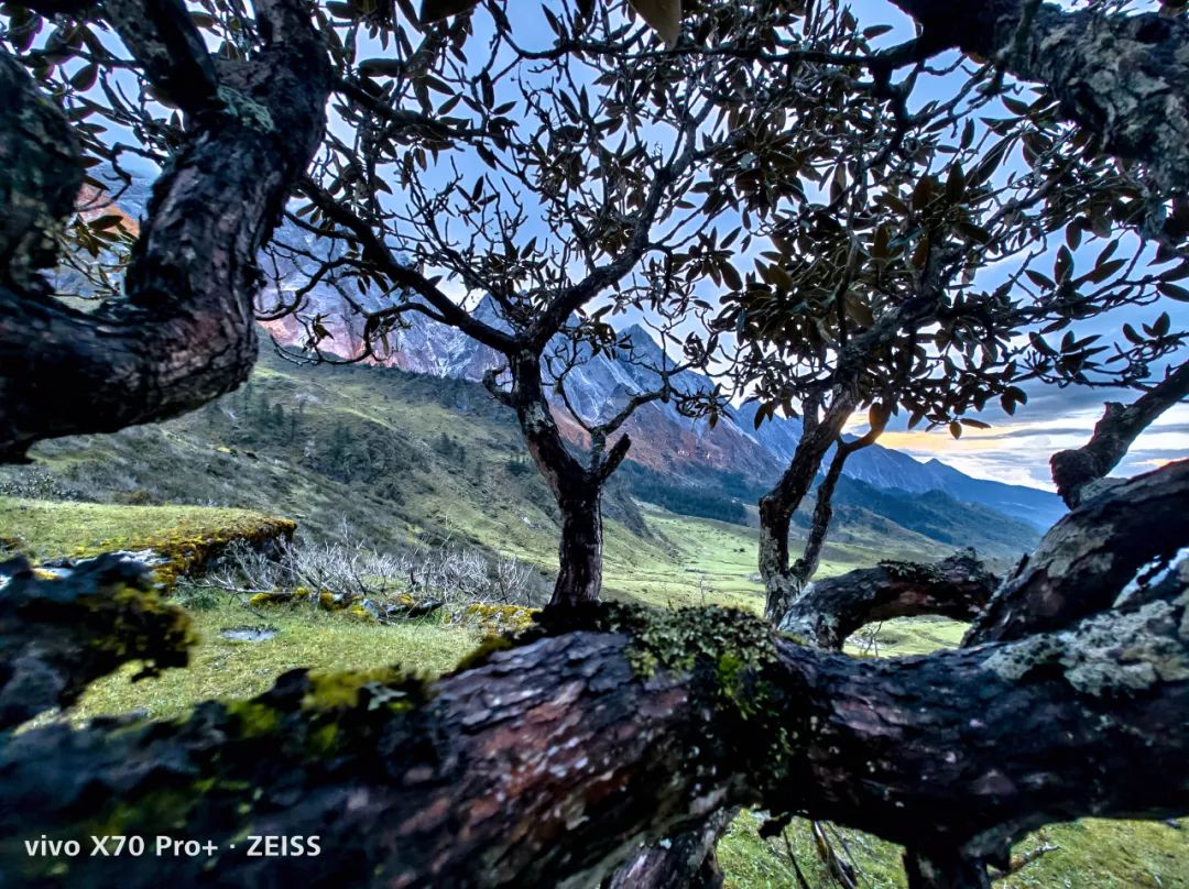 春城晚报(微信)