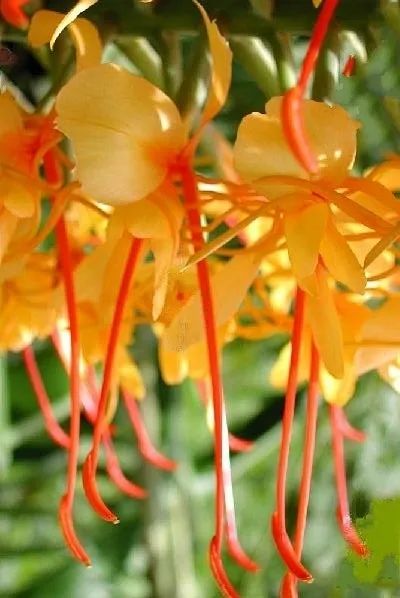 云南广播电视台(微信)