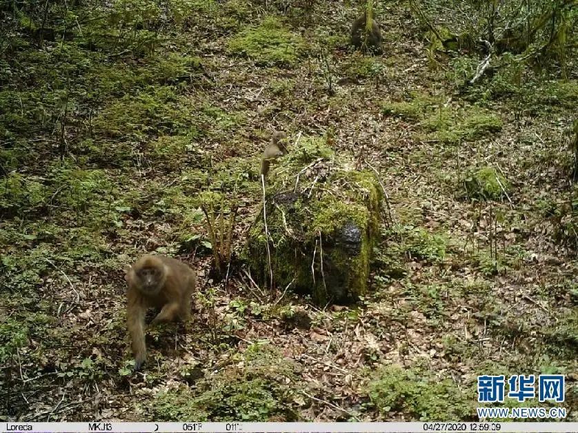 云南广播电视台(微信)