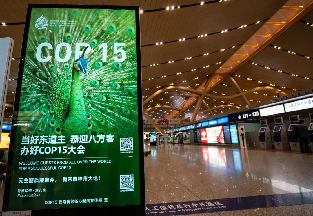 918云南交通台(微信)