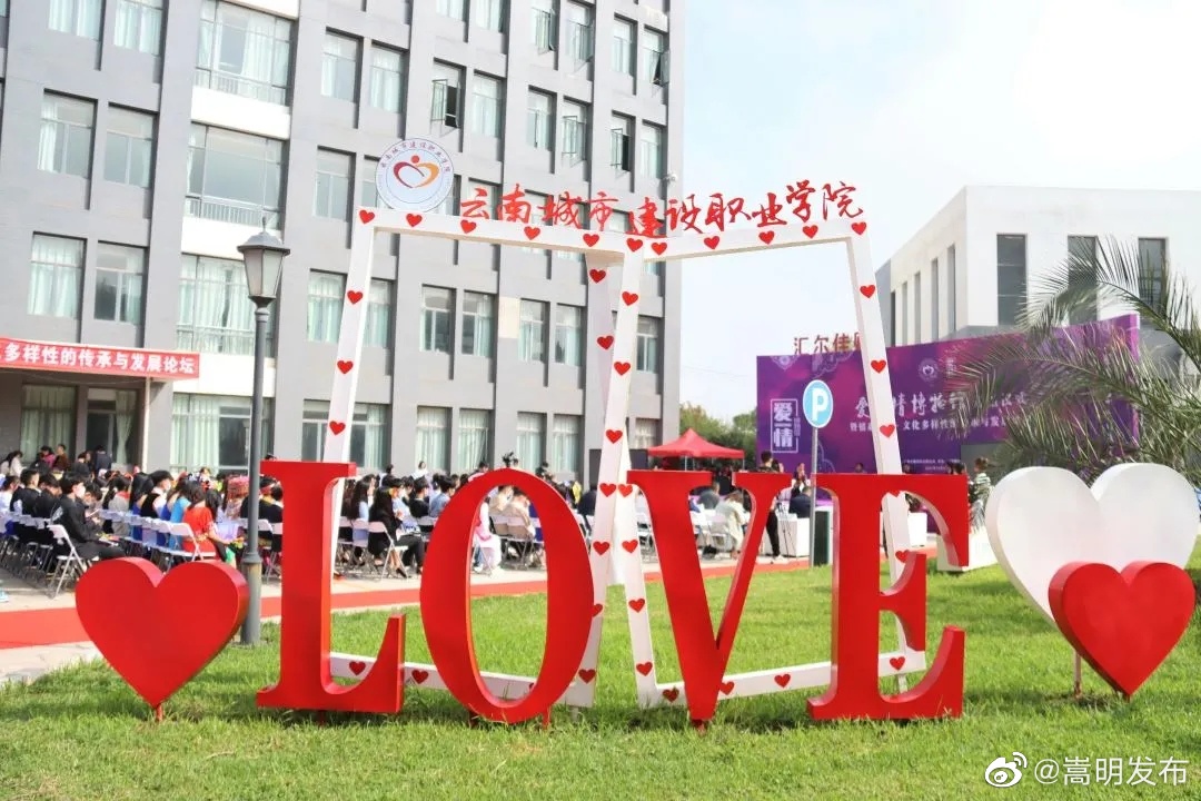 嵩明发布