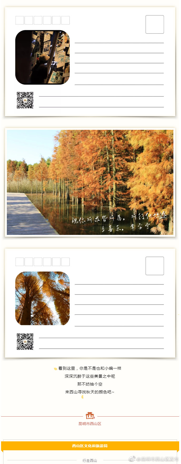 “昆明市西山区发布”微博