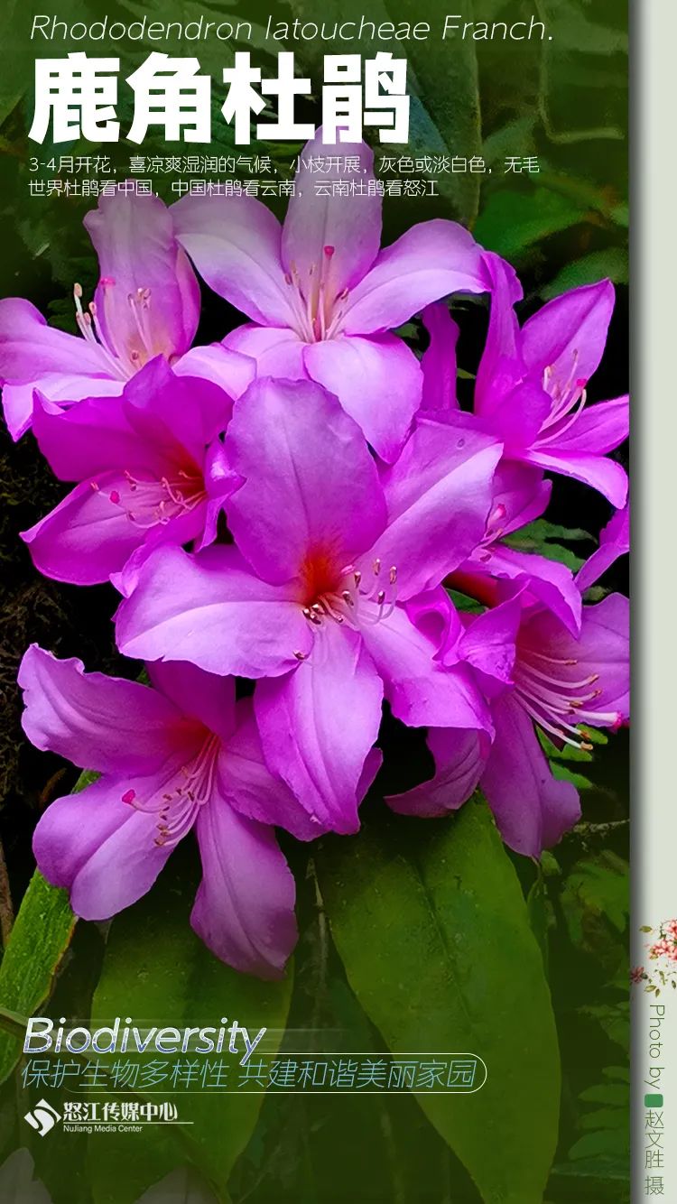 云南广播电视台(微信)