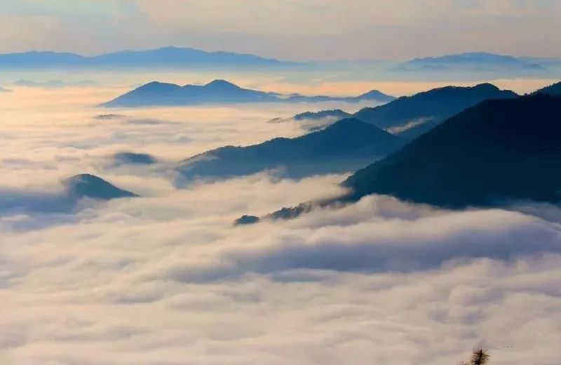 普洱日报(微信)