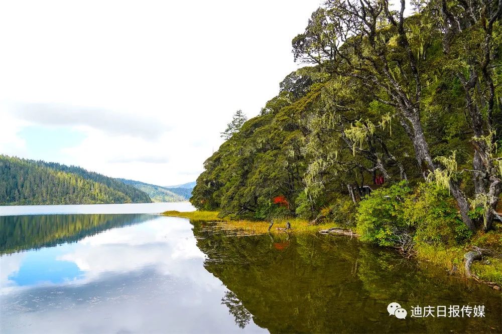 迪庆日报传媒(微信)