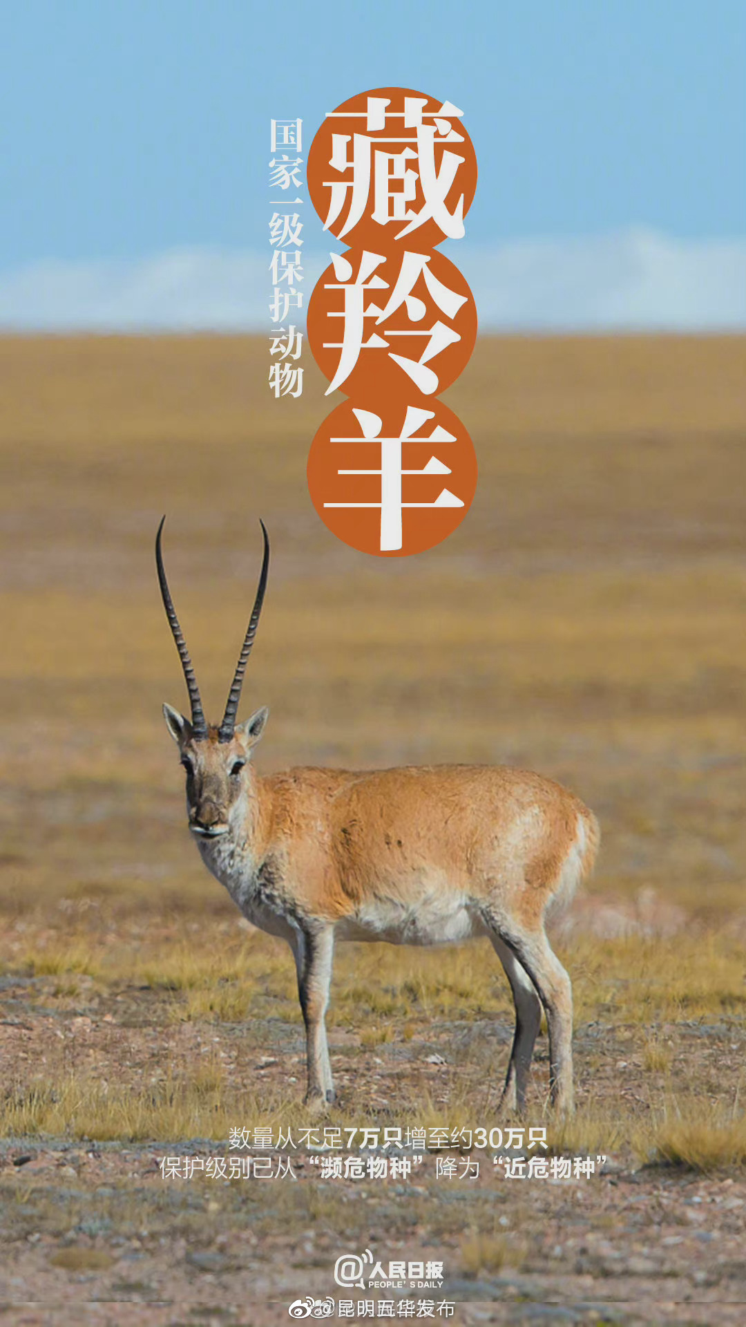 “昆明五华发布”微博