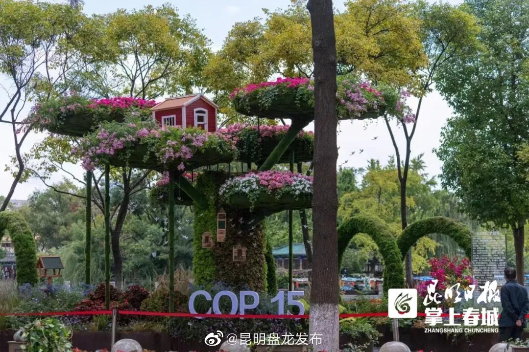 昆明盘龙发布