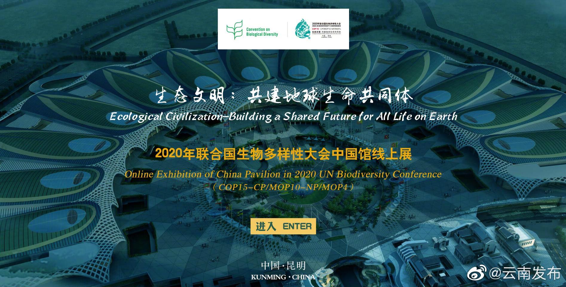“云南发布”微博