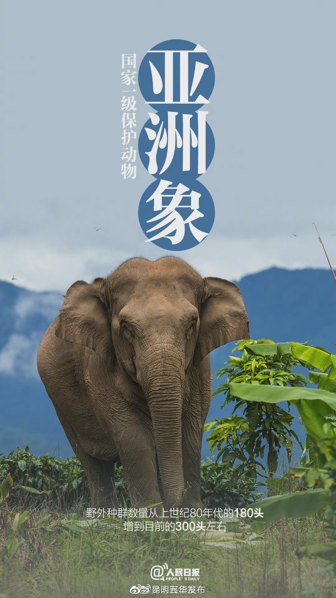 “昆明五华发布”微博