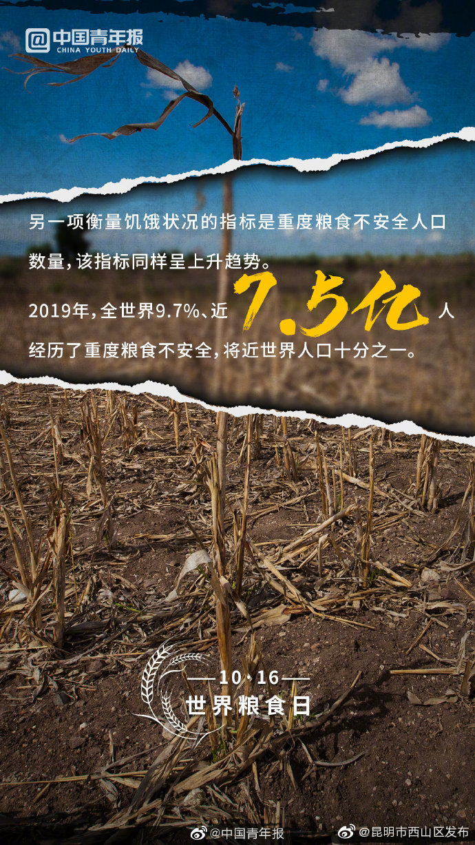 “昆明市西山区发布”微博
