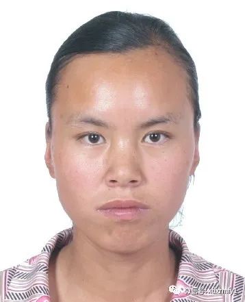 掌上春城(微信)