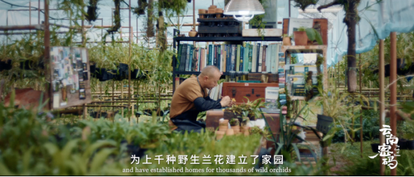 玉溪发布(微信)